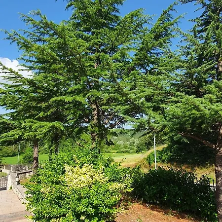 Relaxing Gardens For Max 8 Persons In Green Central Istria *