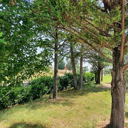 Relaxing Gardens For Max 8 Persons In Green Central Istria *